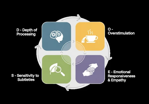 Infographic of Dr. Aron's DOES model for highly sensitive persons
