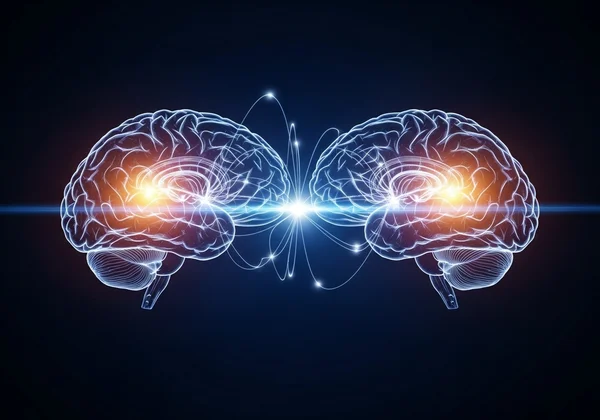 Two brains connected by mirror neurons, showing empathy.